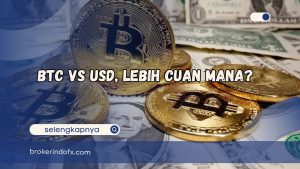 Btc vs usd