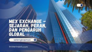 mex exchange