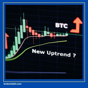 grafik bitcoin