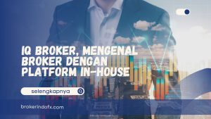 IQ Broker