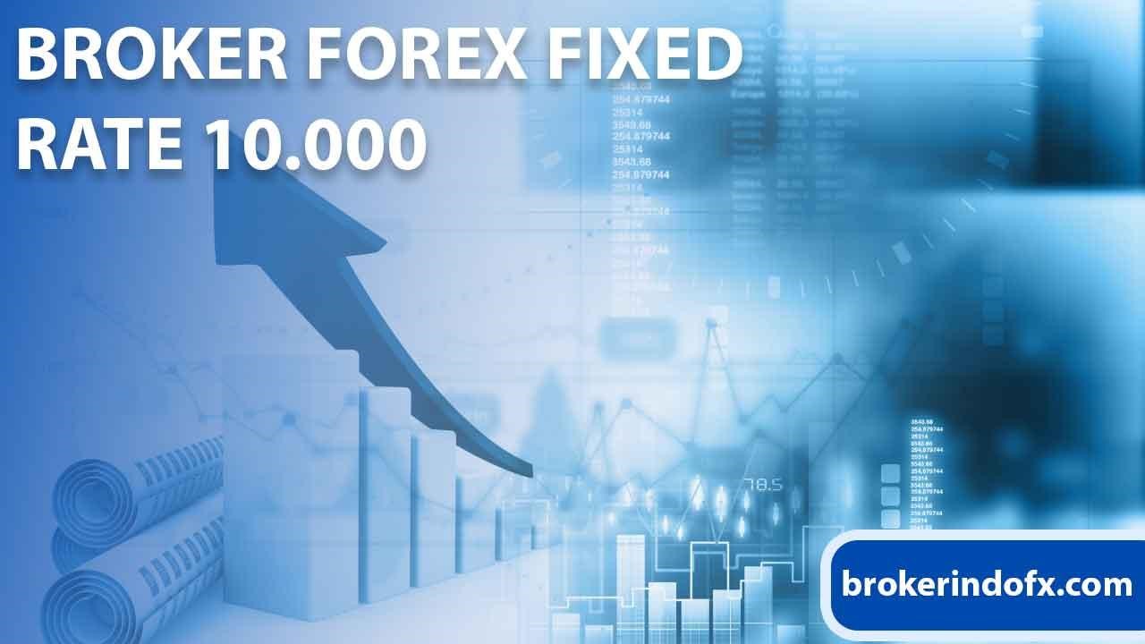 Broker Forex Fixed Rate 10.000
