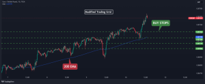 Strategi Grid Trading Forex Otomatis Risiko Dan Keuntungannya