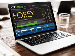 Broker Forex Terbaik Buat Pemula