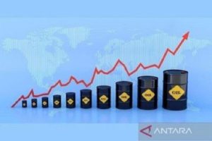 harga minyak wti dan brent hari ini