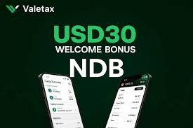 Ndb Valetax
