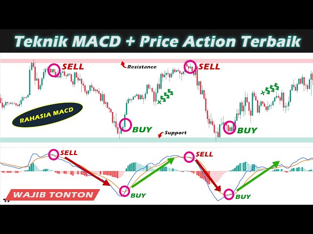 Setting Indikator Macd Untuk Scalping